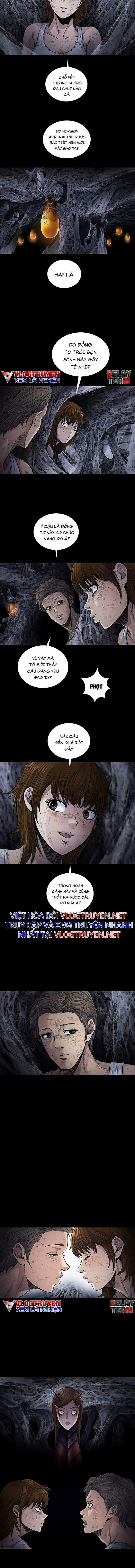 Đọc truyện Hive - Thảm họa ong độc - Chap 255